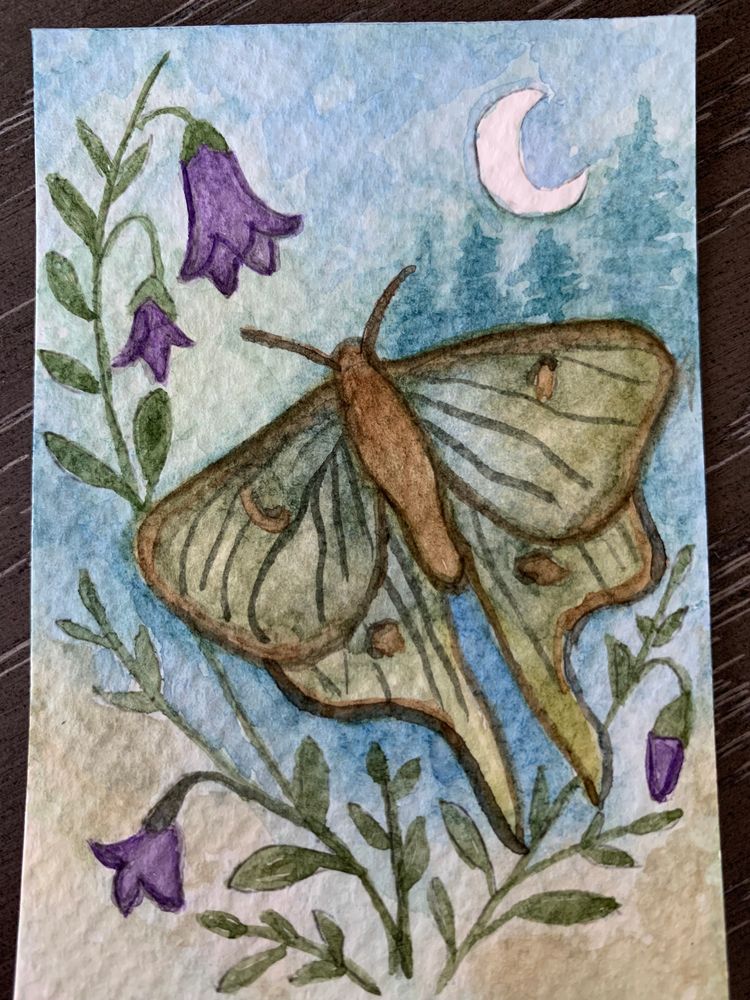 Luna Moth 
